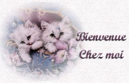 Bonjour et bienvenue sur mon nouveau blog